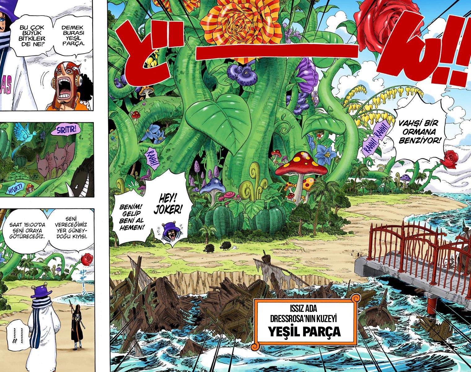 Read One Piece TR Manga Online
