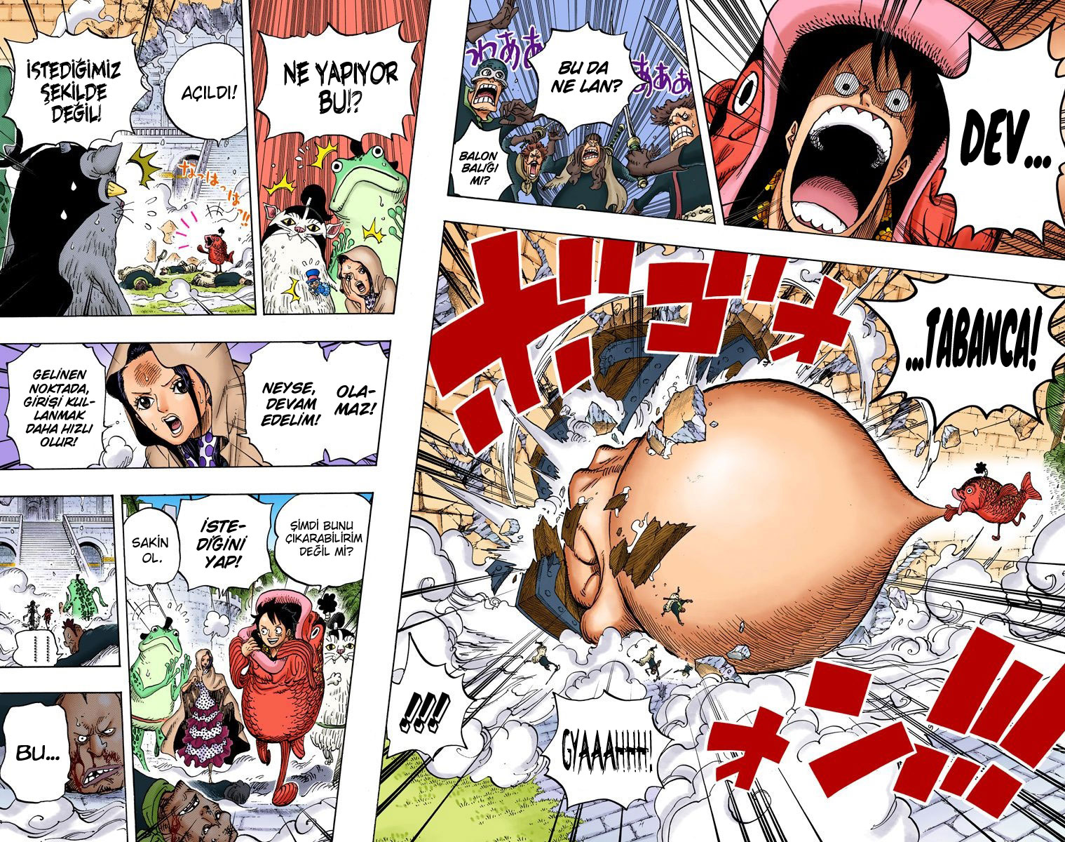 Read One Piece TR Manga Online