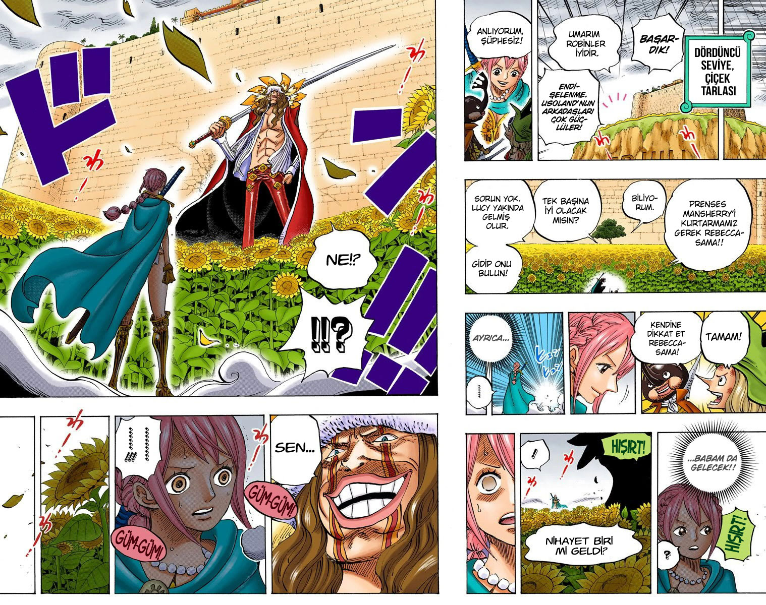 Read One Piece TR Manga Online