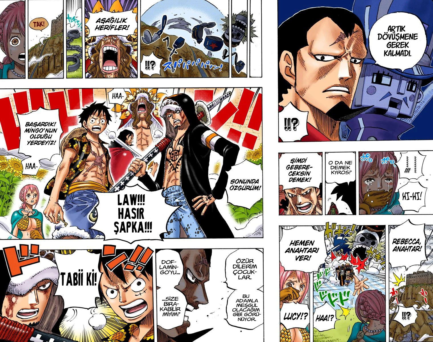 Read One Piece TR Manga Online