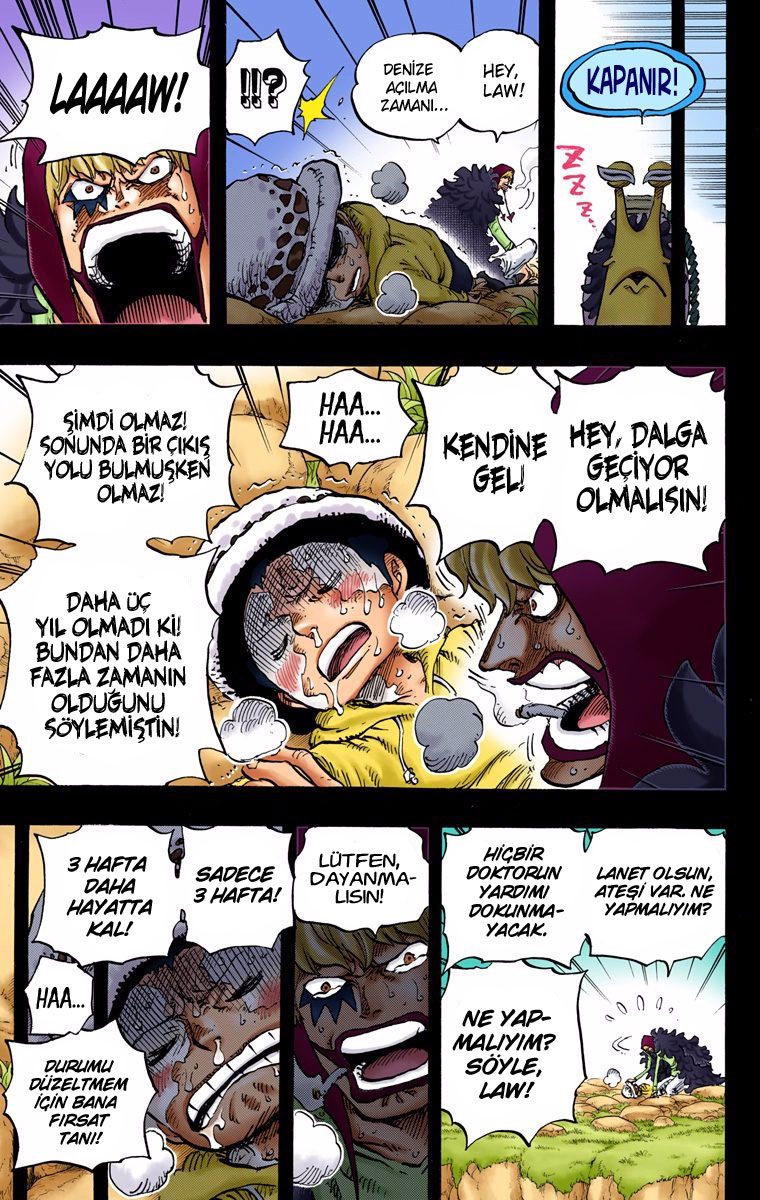 Read One Piece TR Manga Online