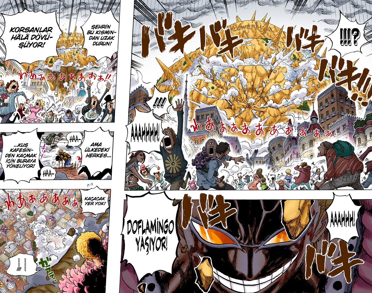 Read One Piece TR Manga Online