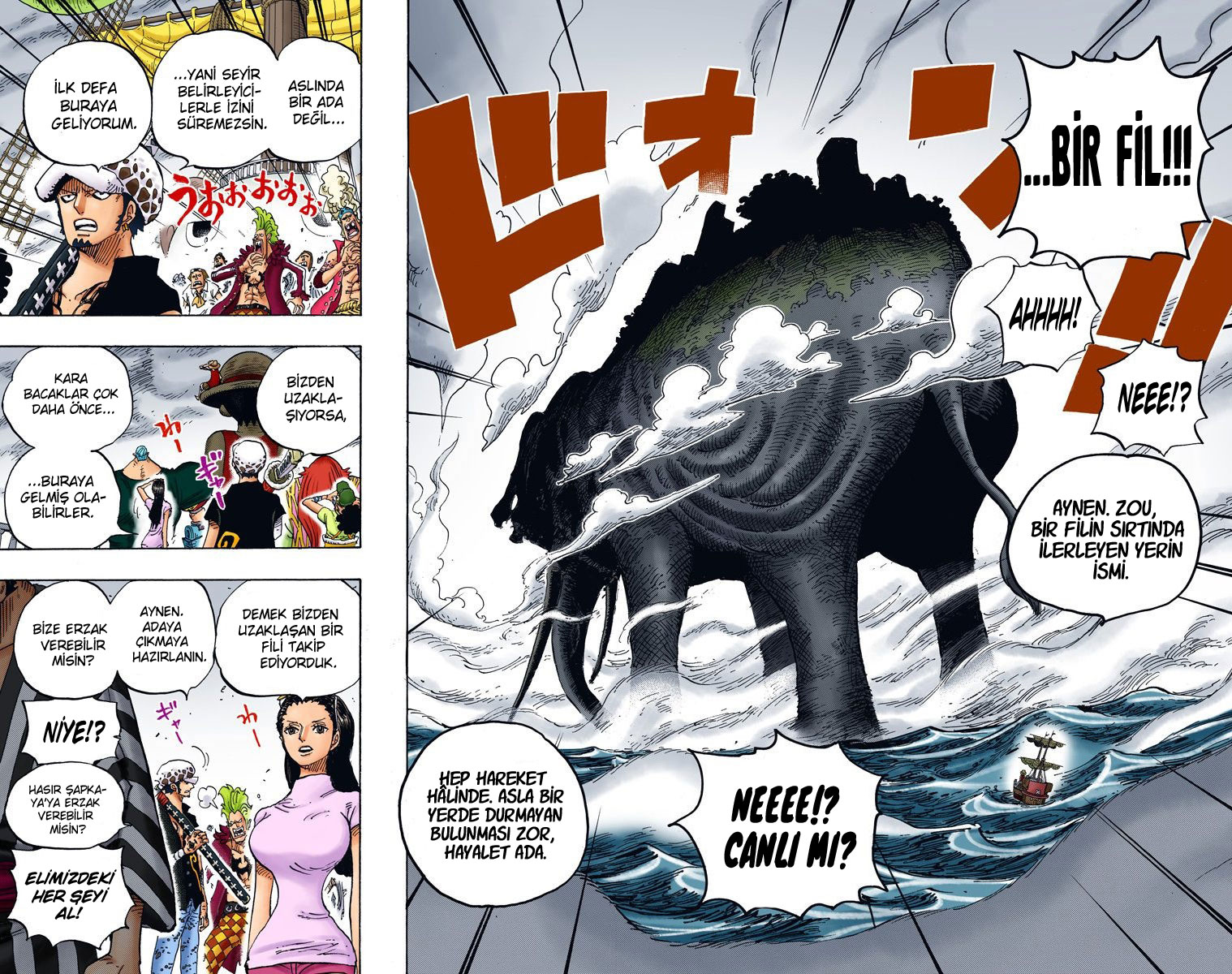 Read One Piece TR Manga Online