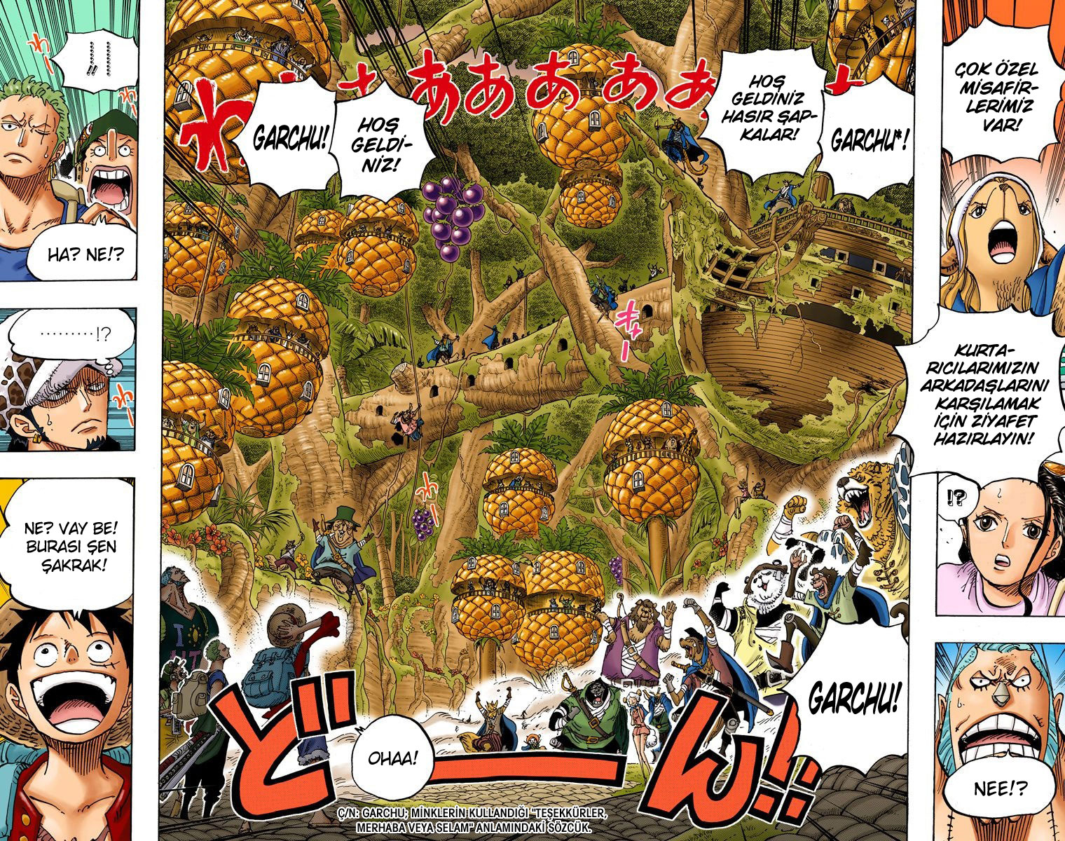 Read One Piece TR Manga Online
