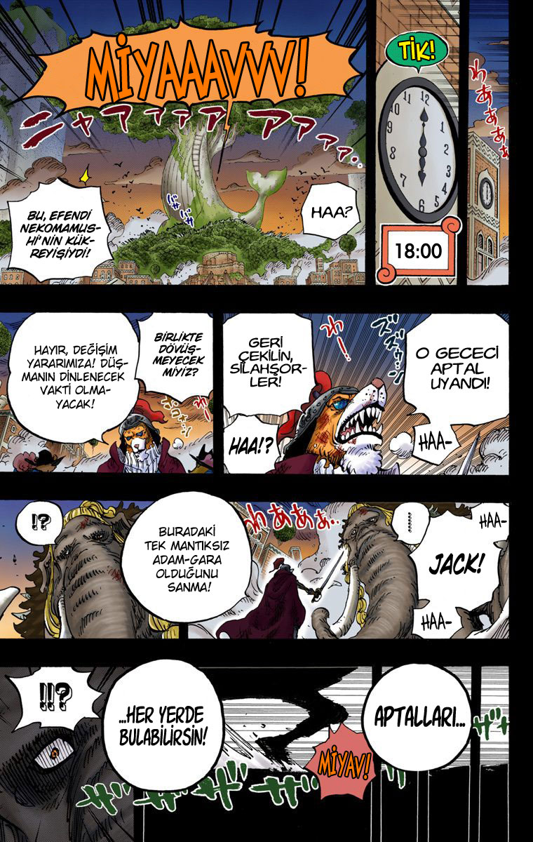 Read One Piece TR Manga Online