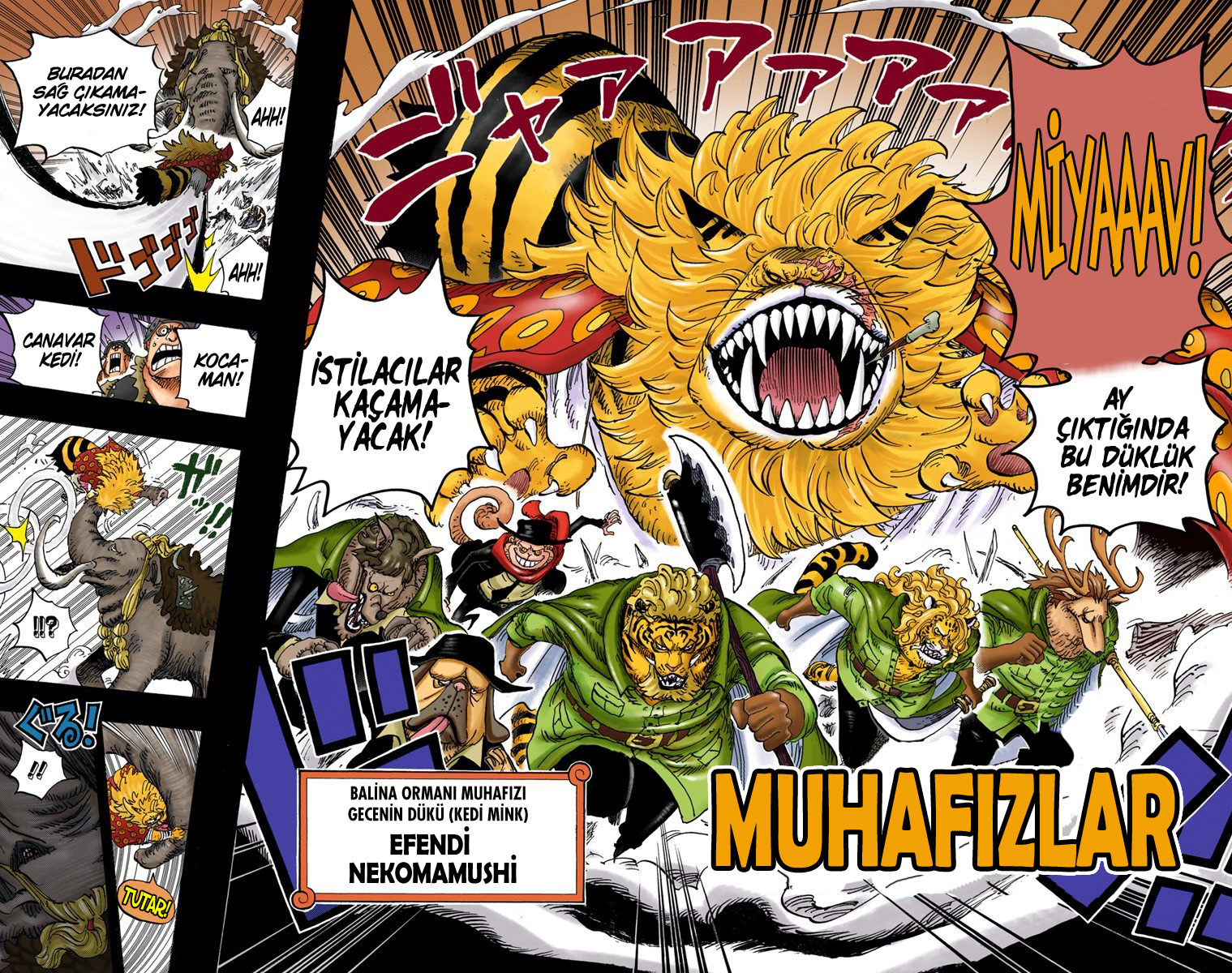 Read One Piece TR Manga Online