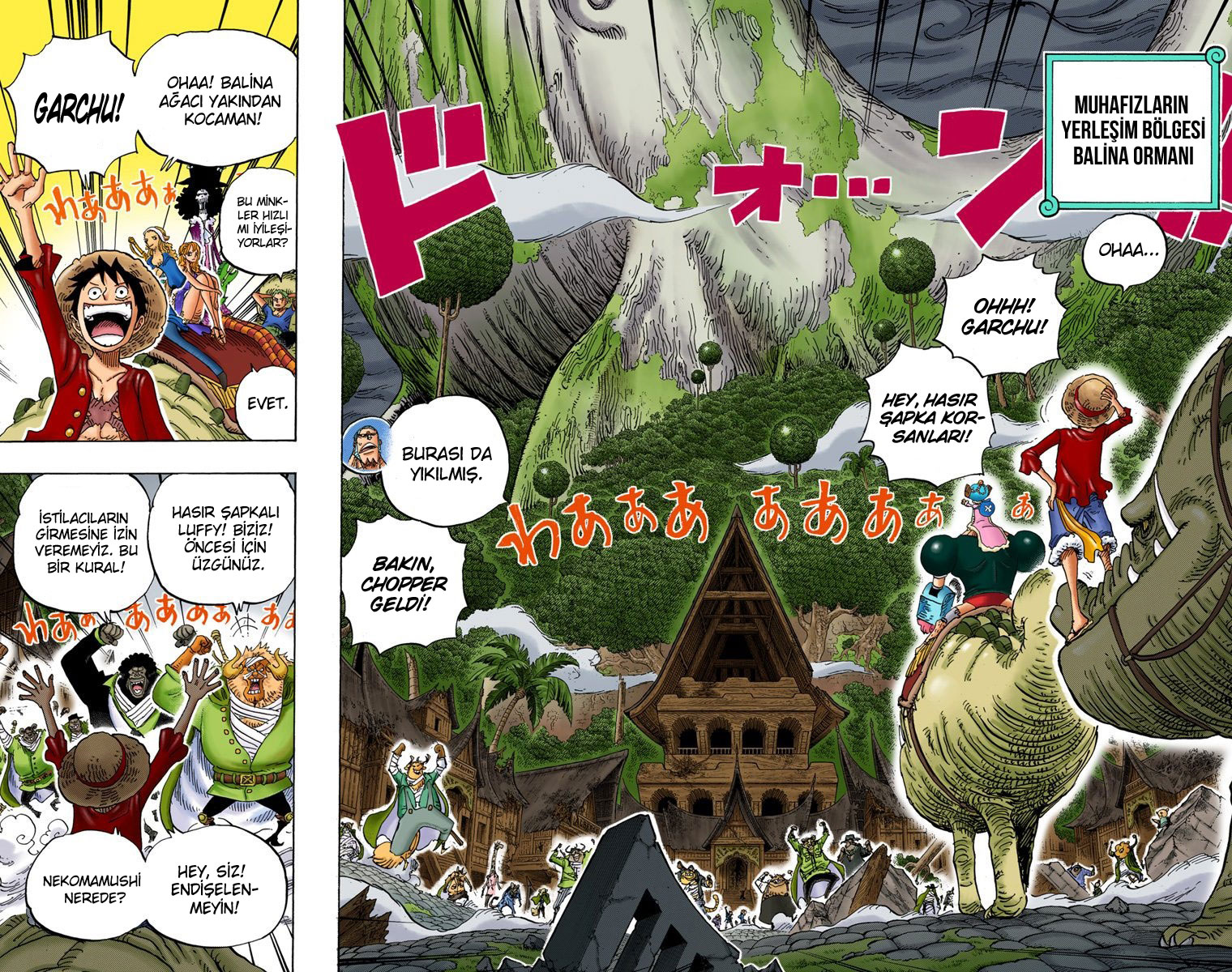 Read One Piece TR Manga Online