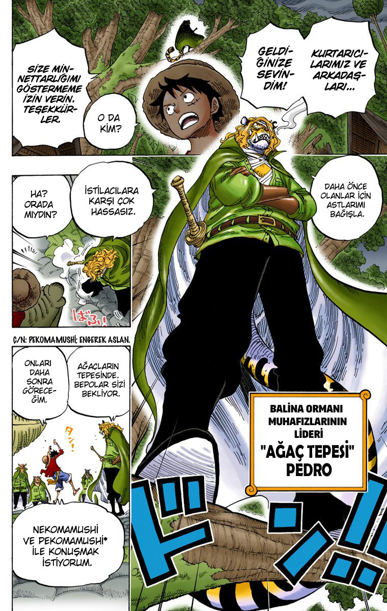 Read One Piece TR Manga Online