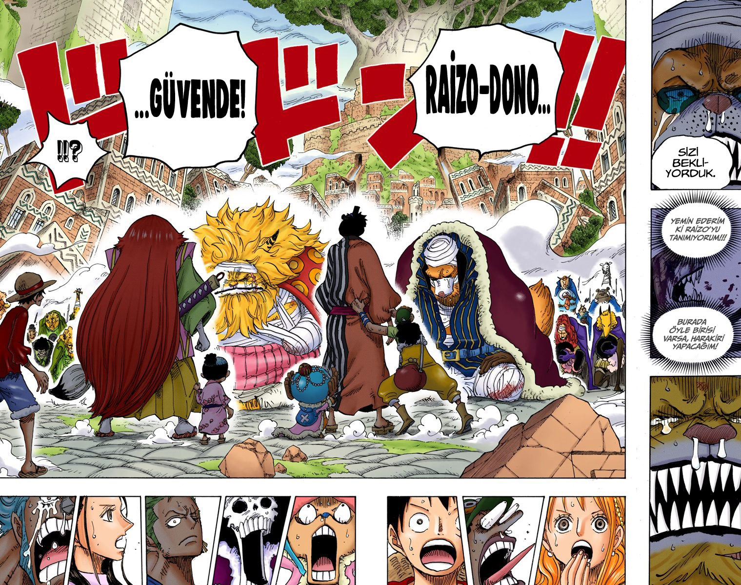 Read One Piece TR Manga Online