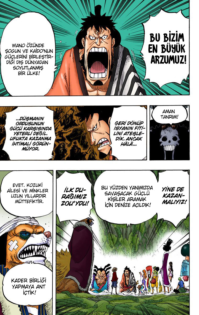 Read One Piece TR Manga Online