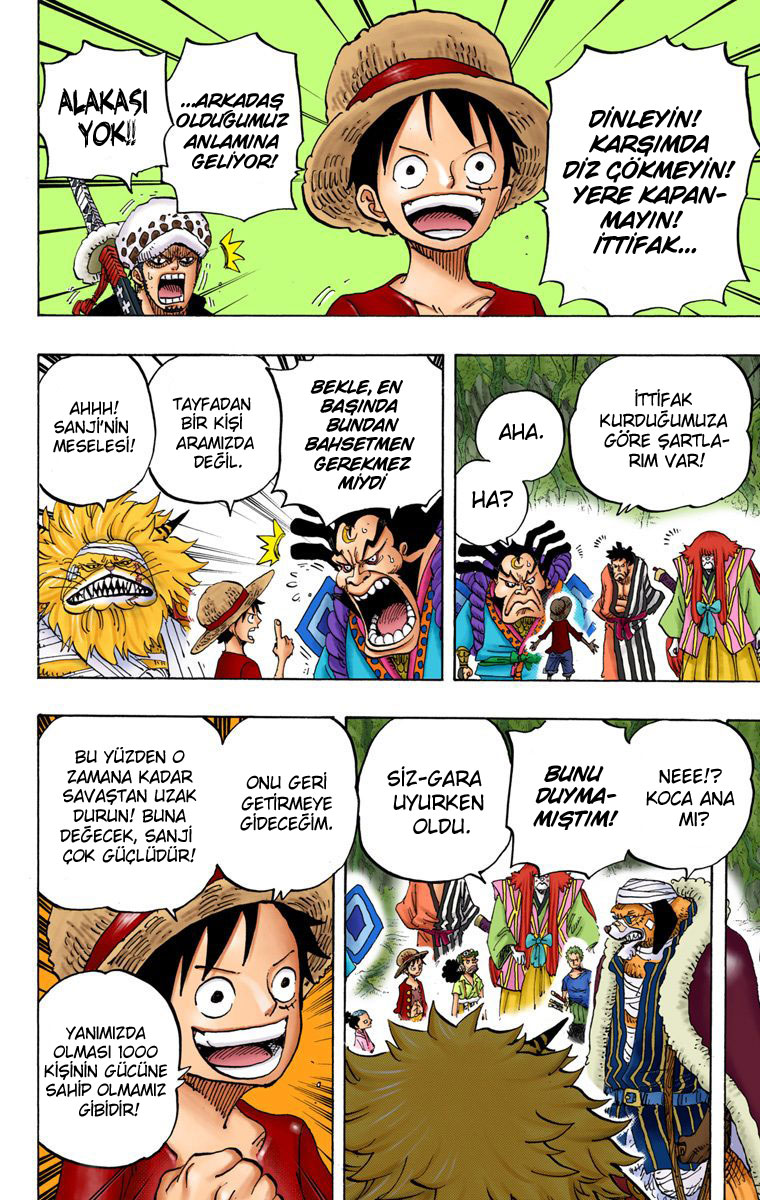 Read One Piece TR Manga Online