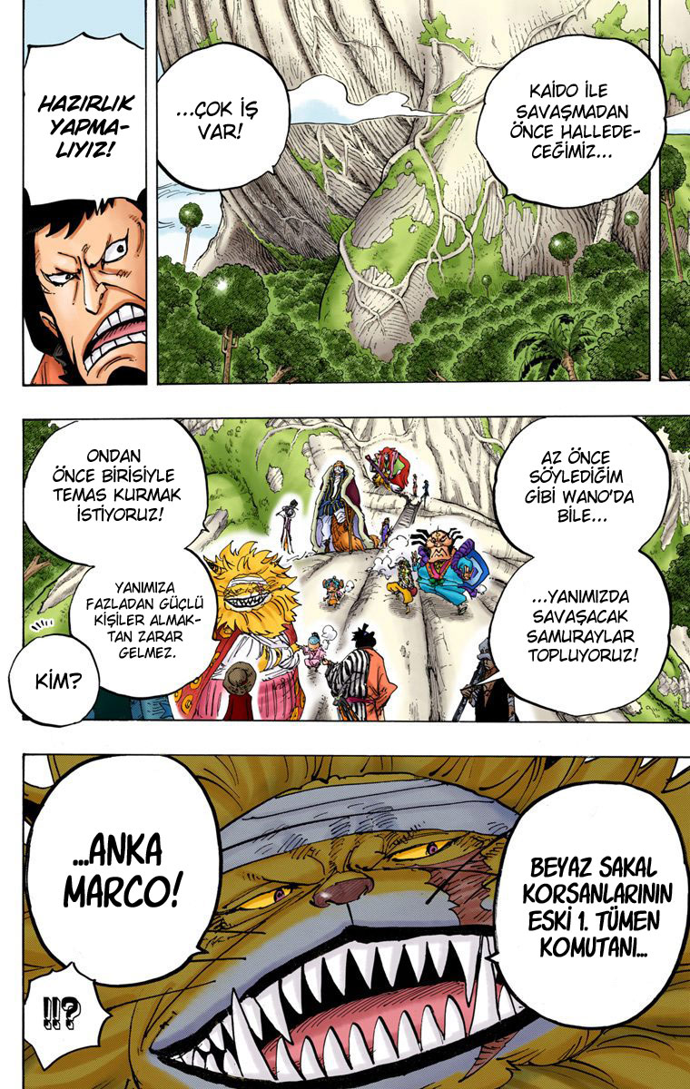 Read One Piece TR Manga Online
