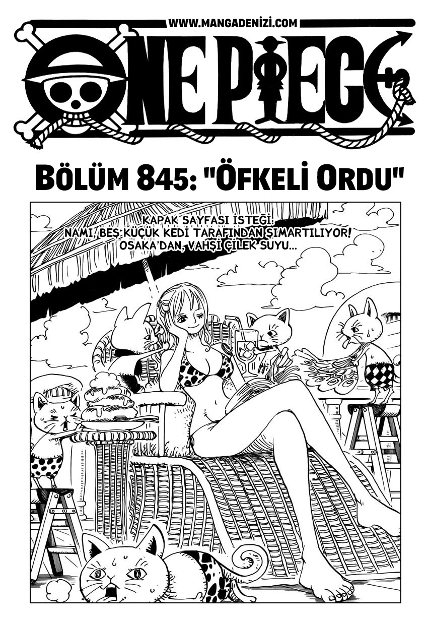 Read One Piece TR Manga Online