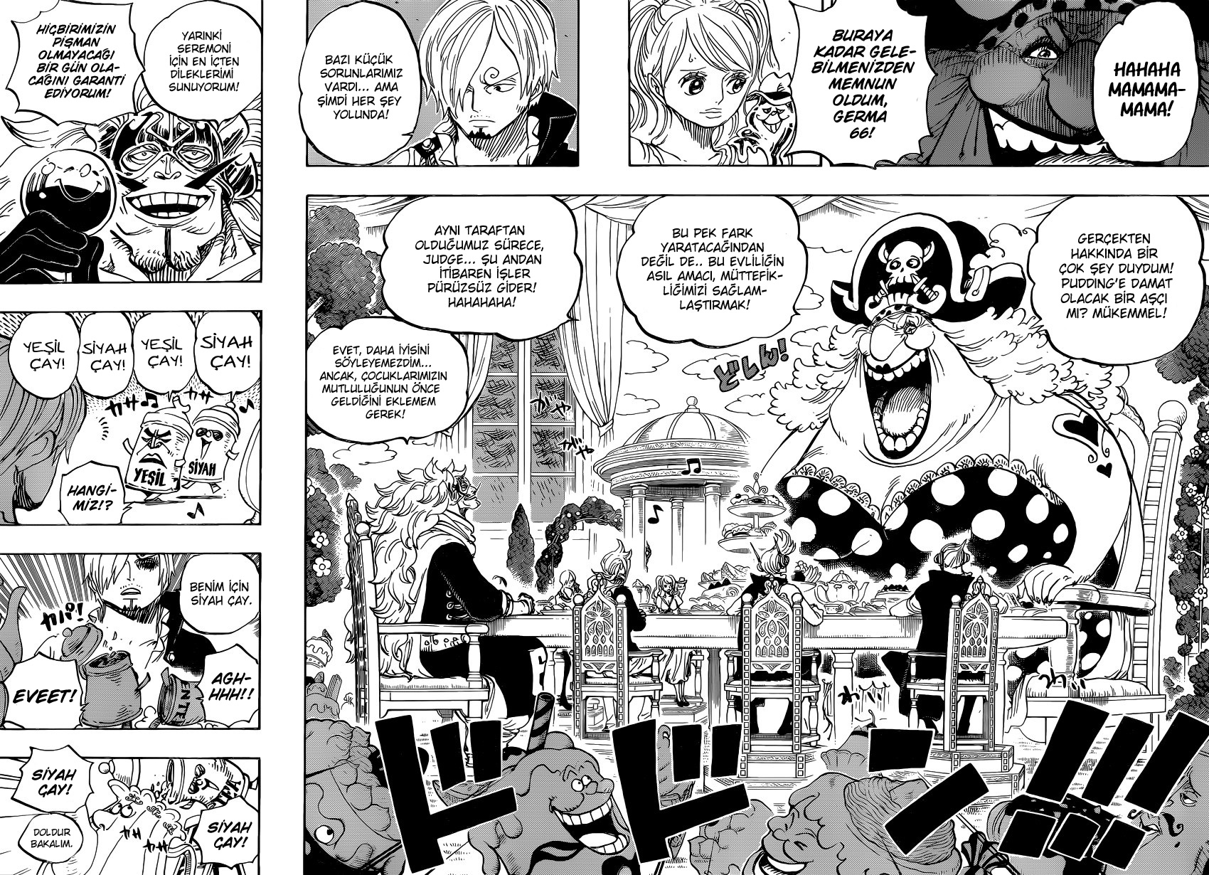 Read One Piece TR Manga Online