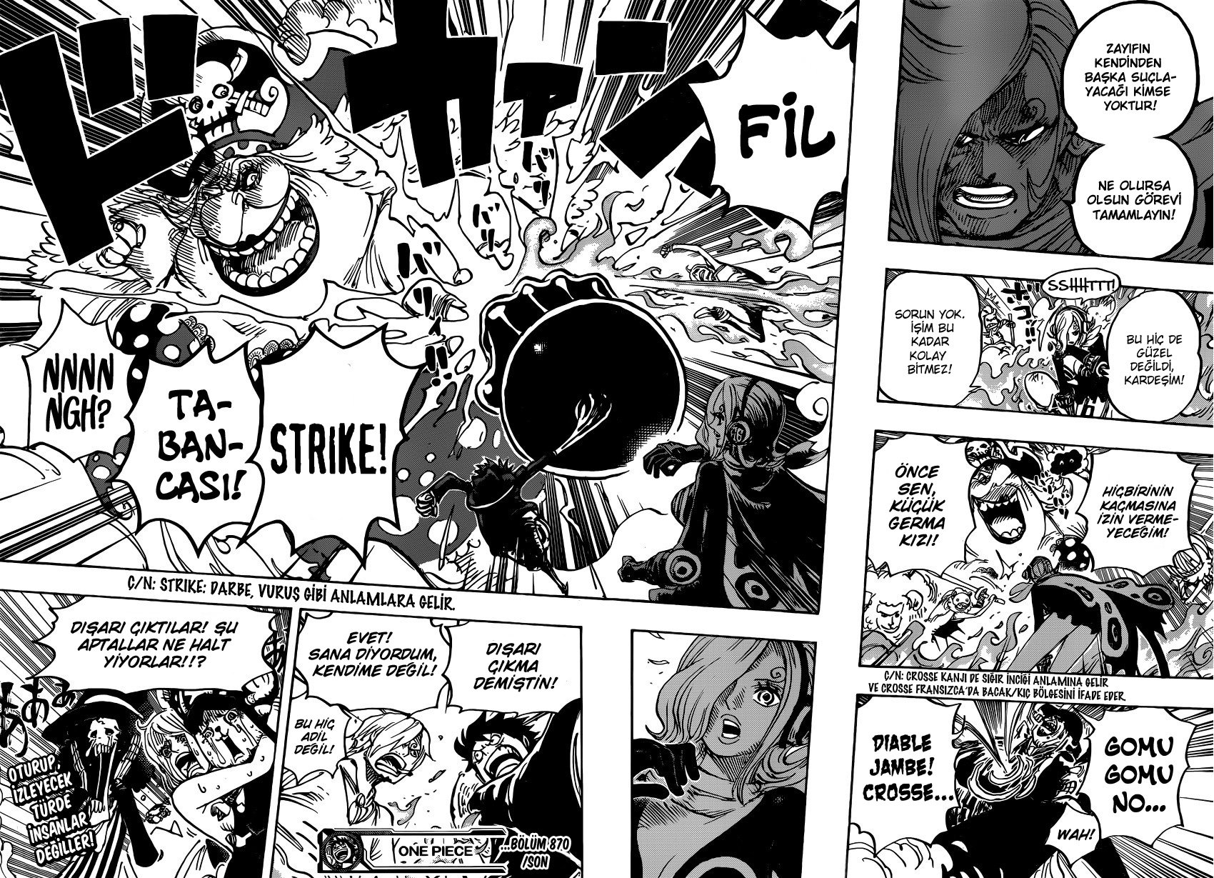 Read One Piece TR Manga Online