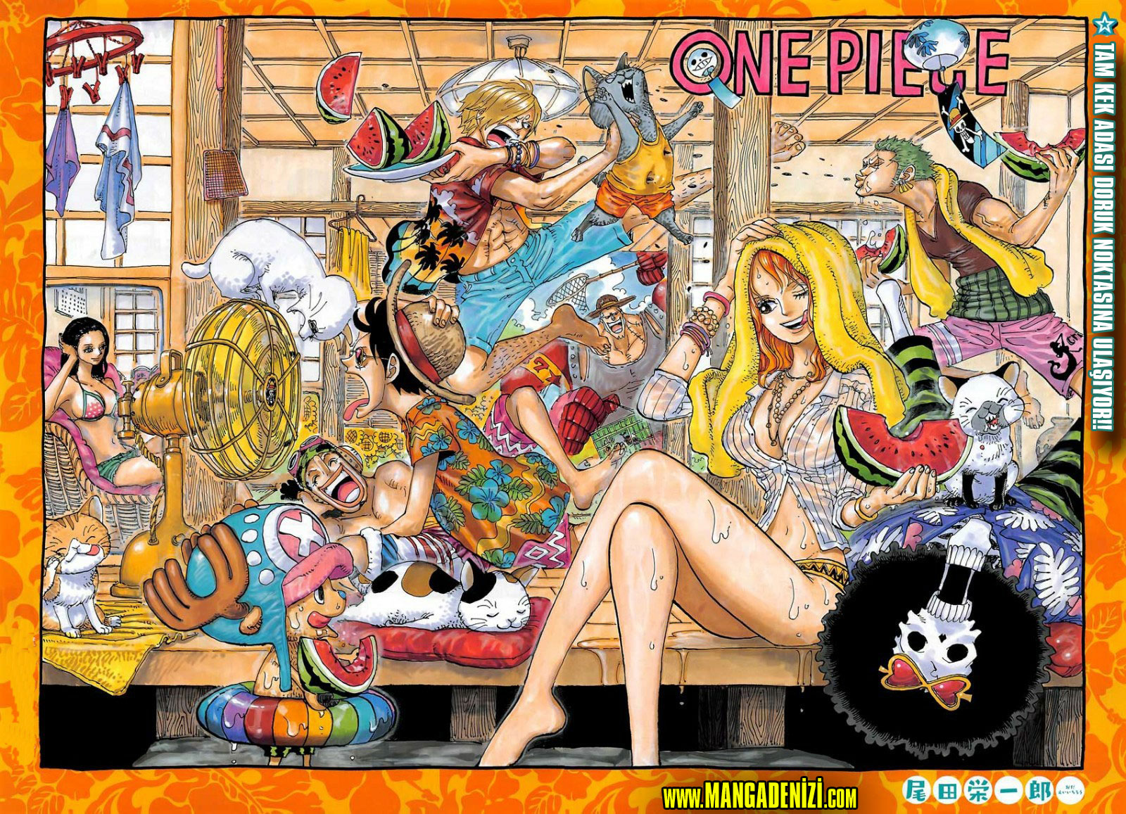 Read One Piece TR Manga Online