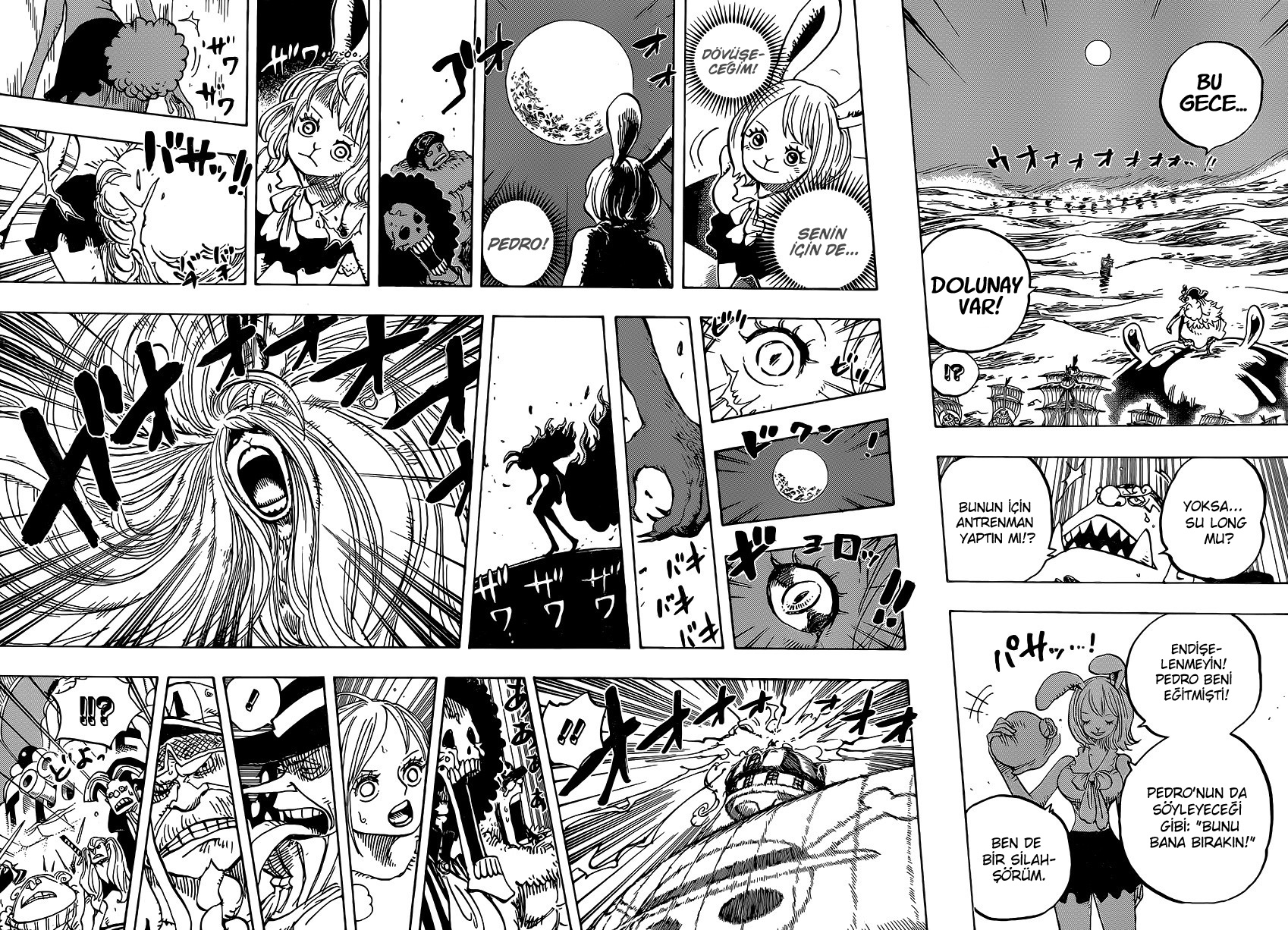 Read One Piece TR Manga Online