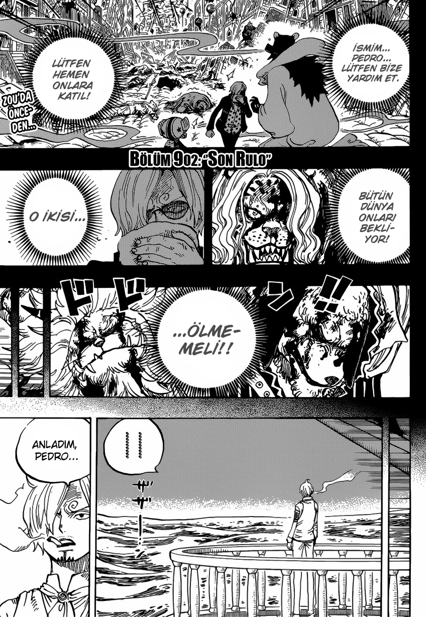 Read One Piece TR Manga Online