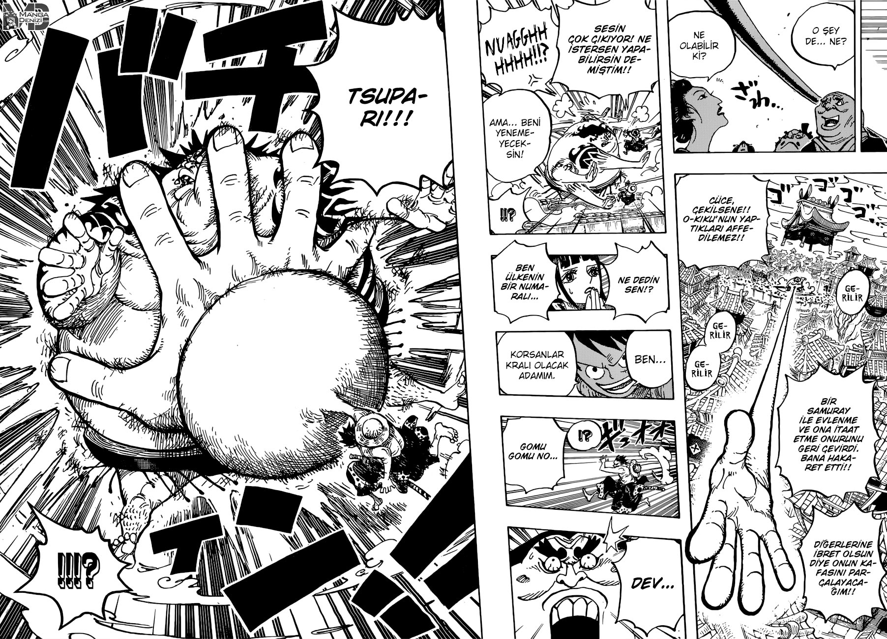 Read One Piece TR Manga Online