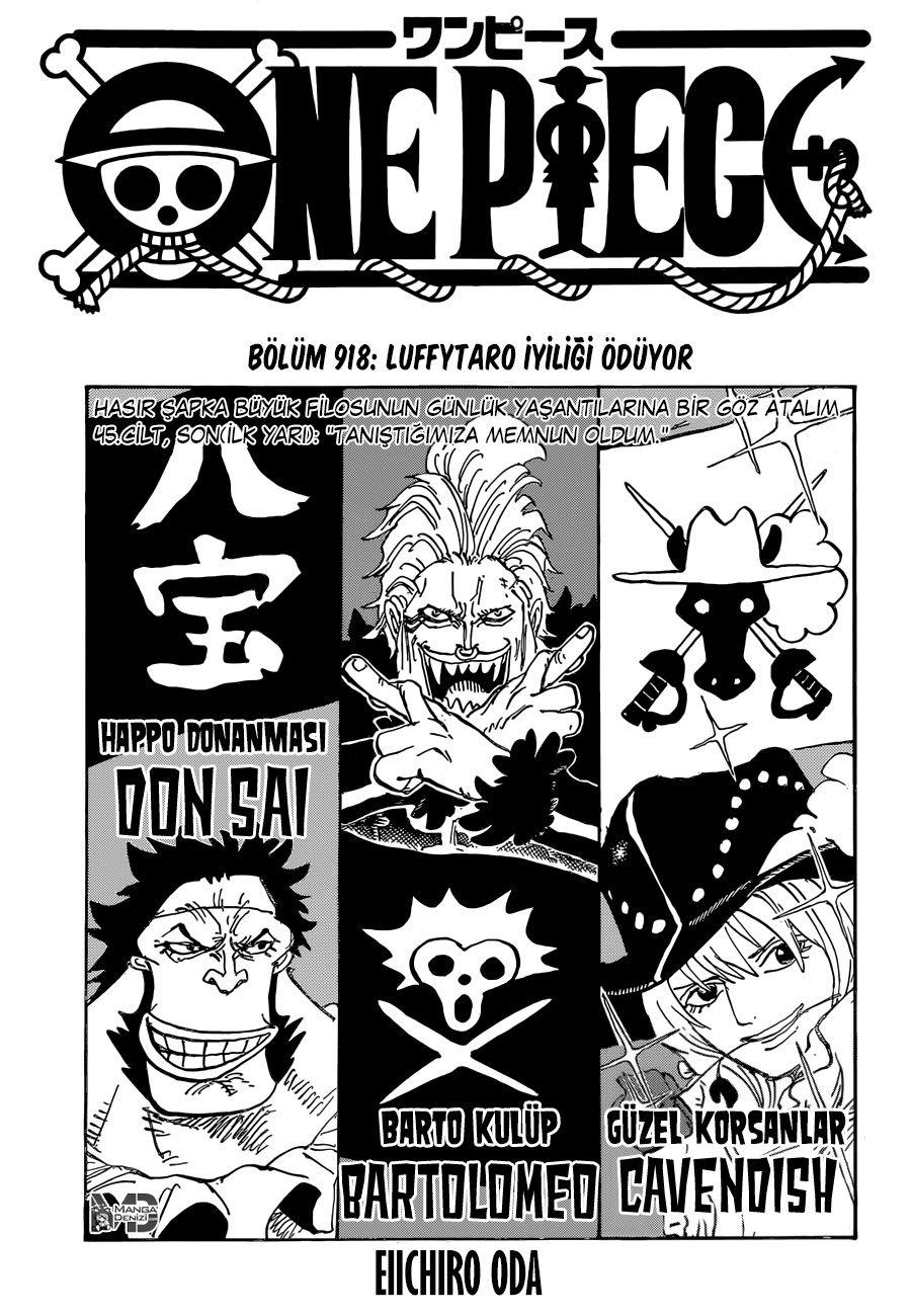 Read One Piece TR Manga Online