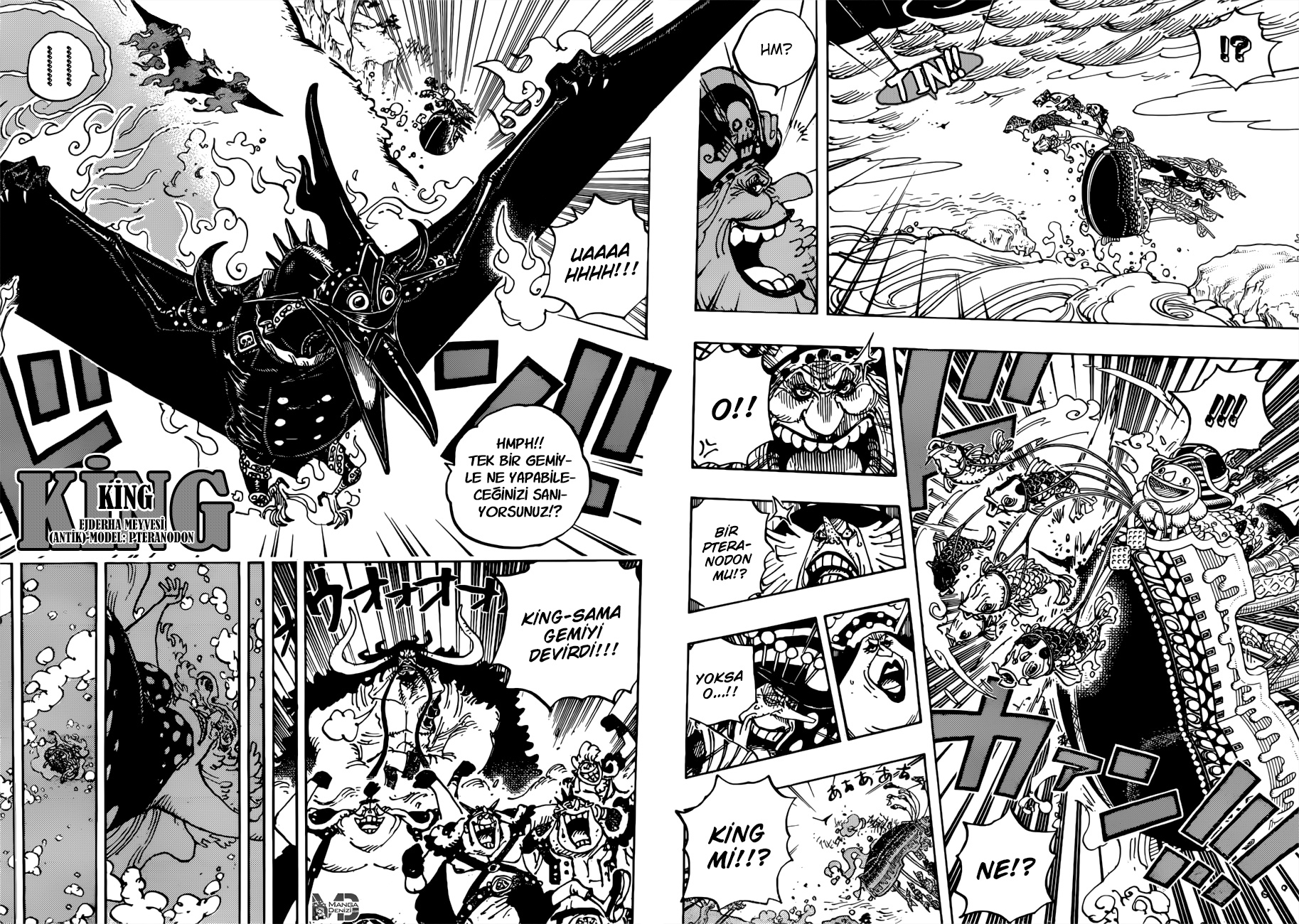 Read One Piece TR Manga Online