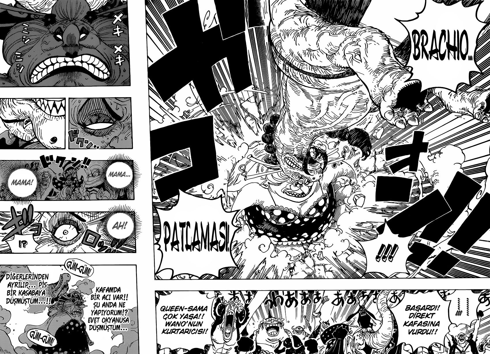 Read One Piece TR Manga Online