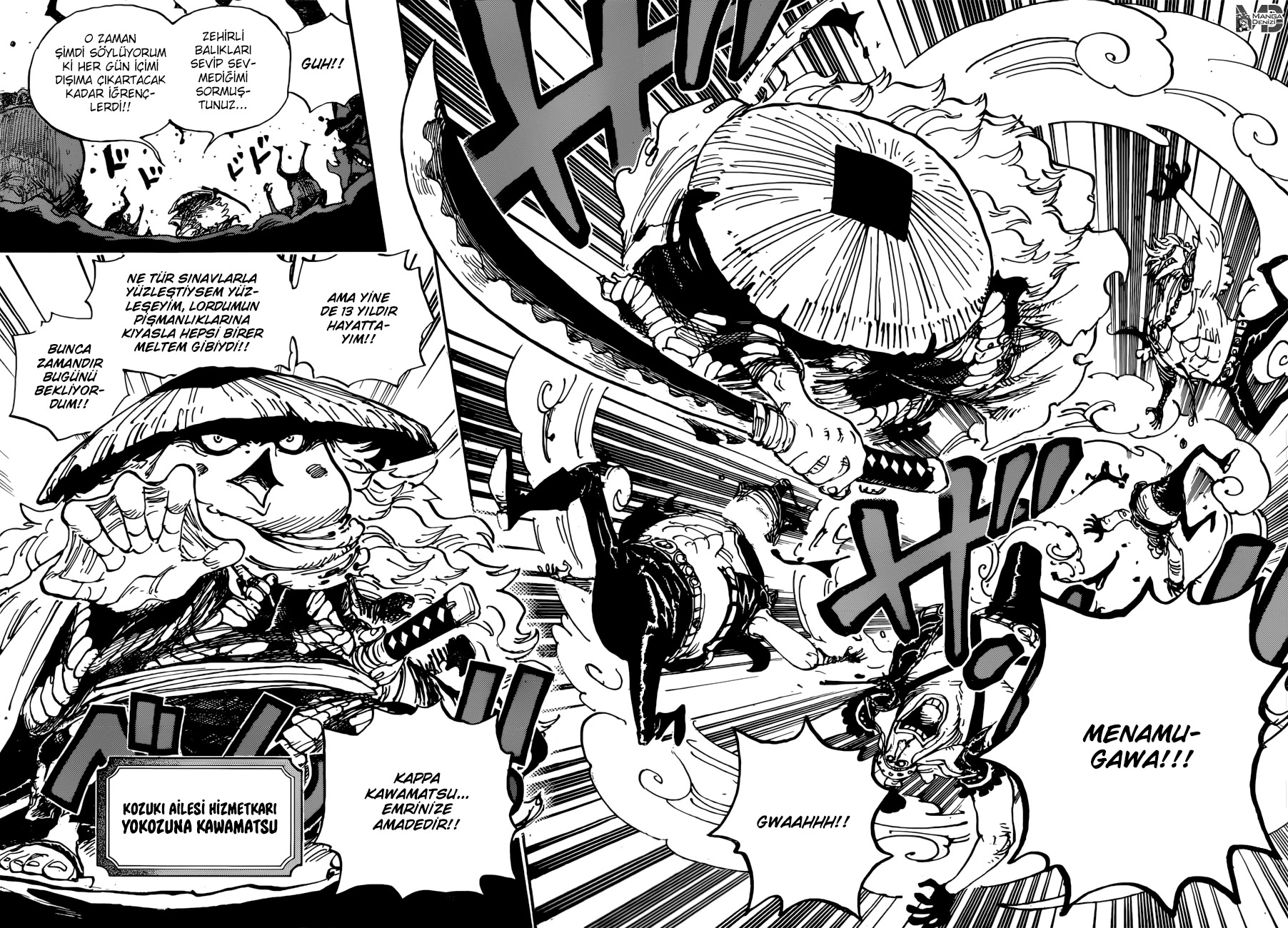 Read One Piece TR Manga Online