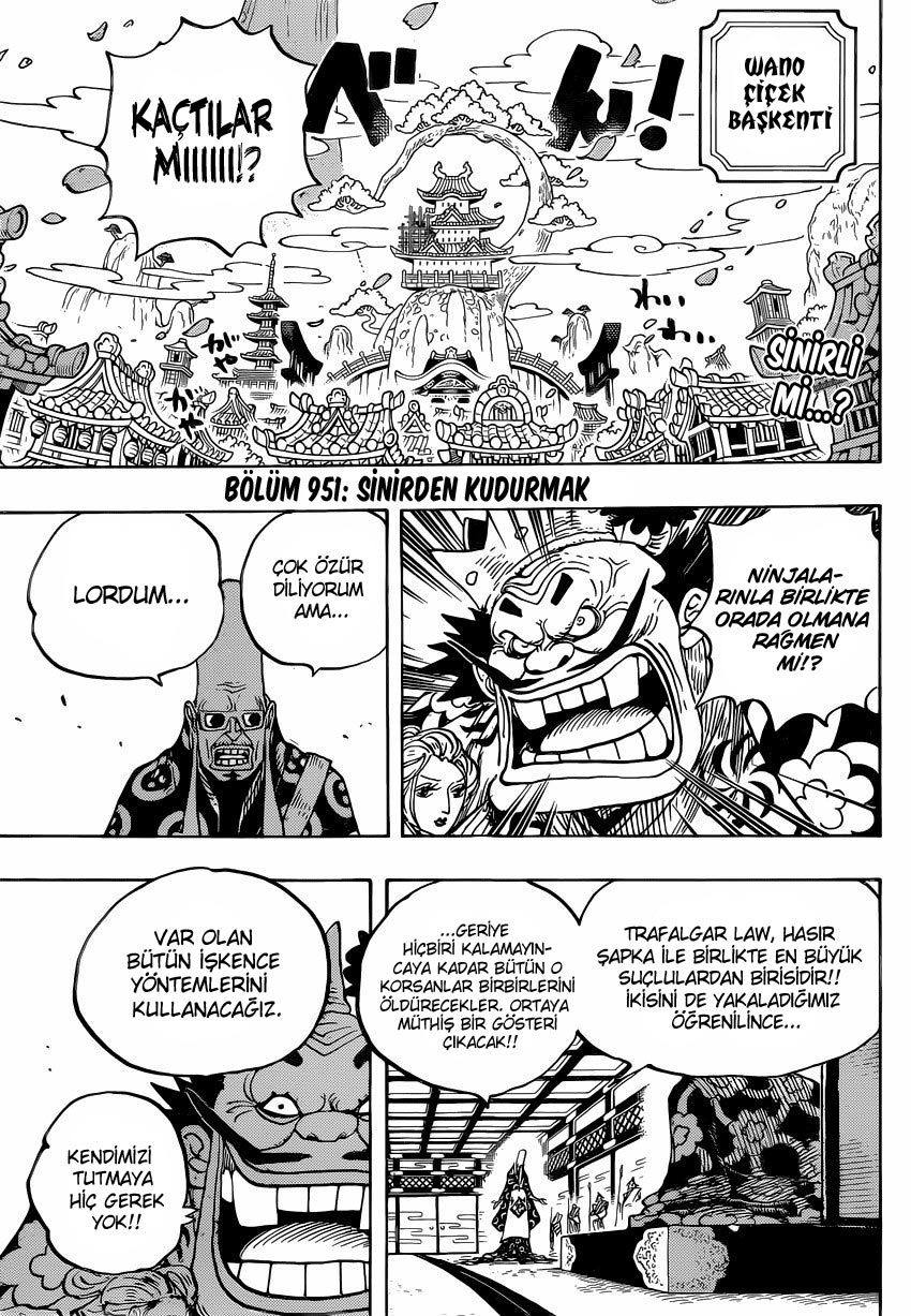 Read One Piece TR Manga Online