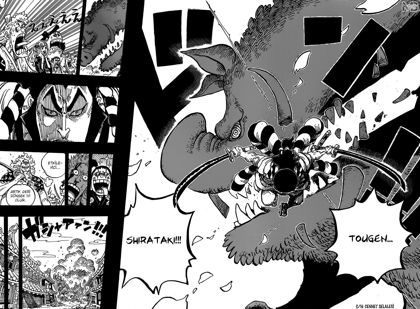 Read One Piece TR Manga Online