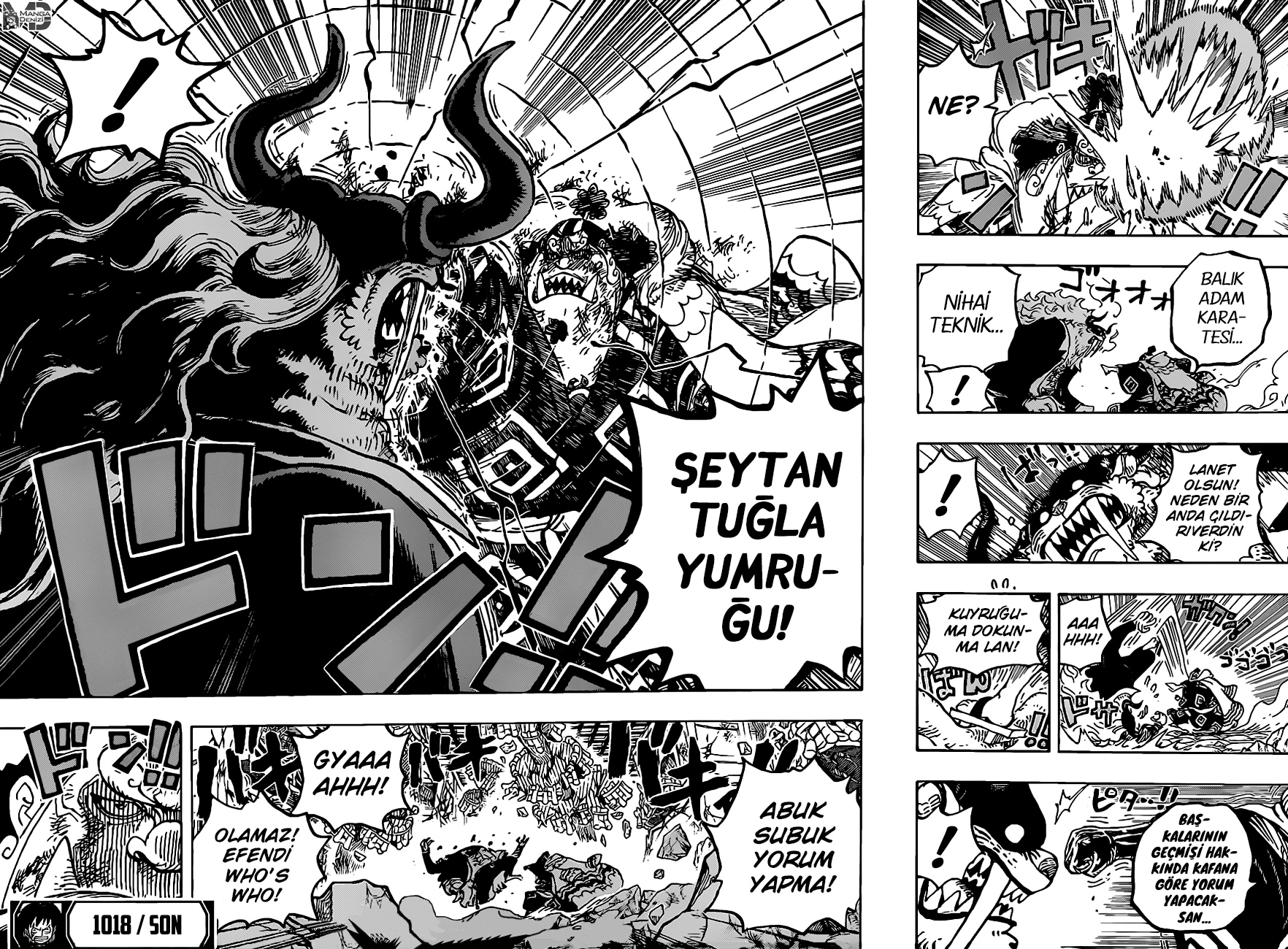 Read One Piece TR Manga Online