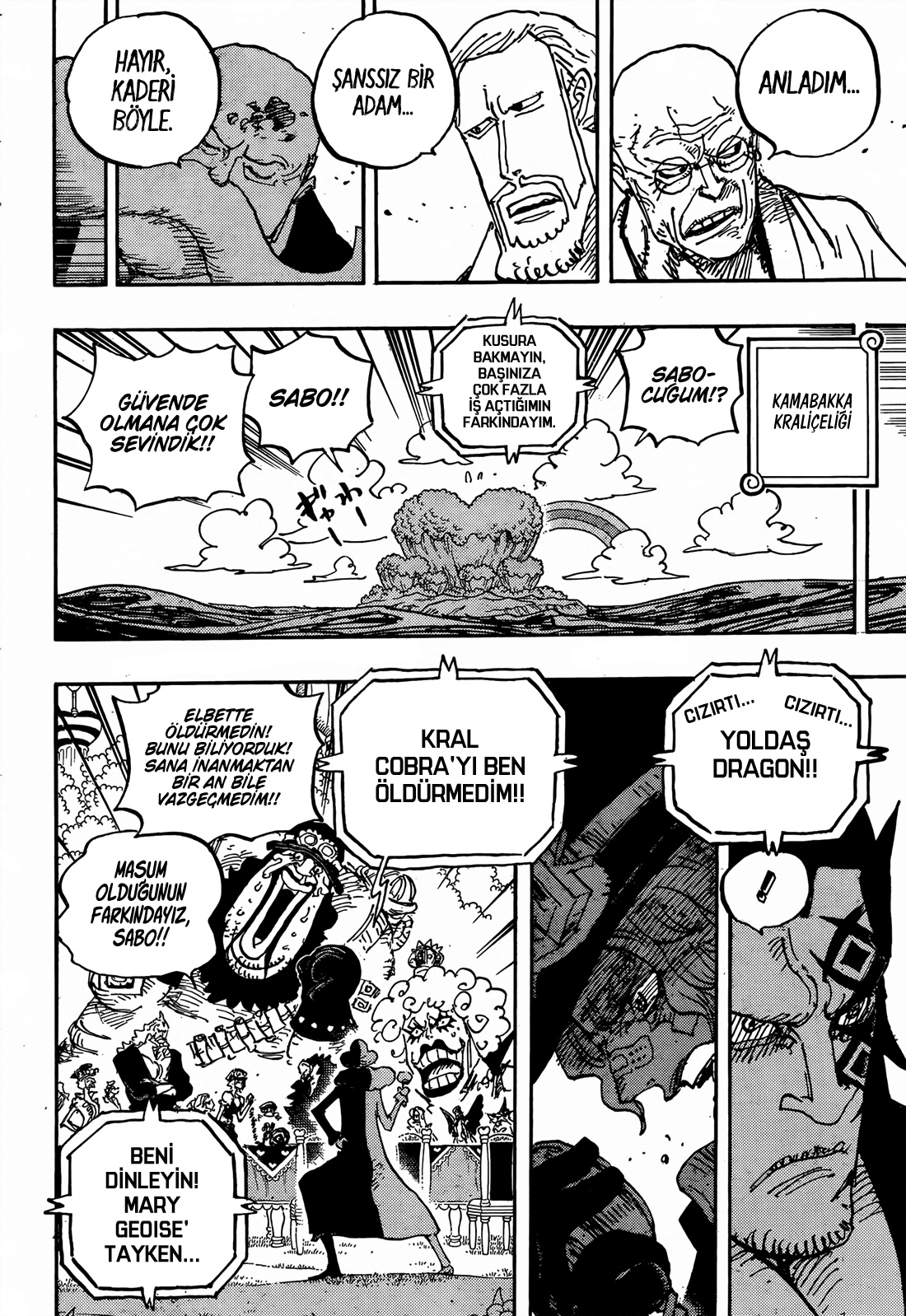 Read One Piece TR Manga Online