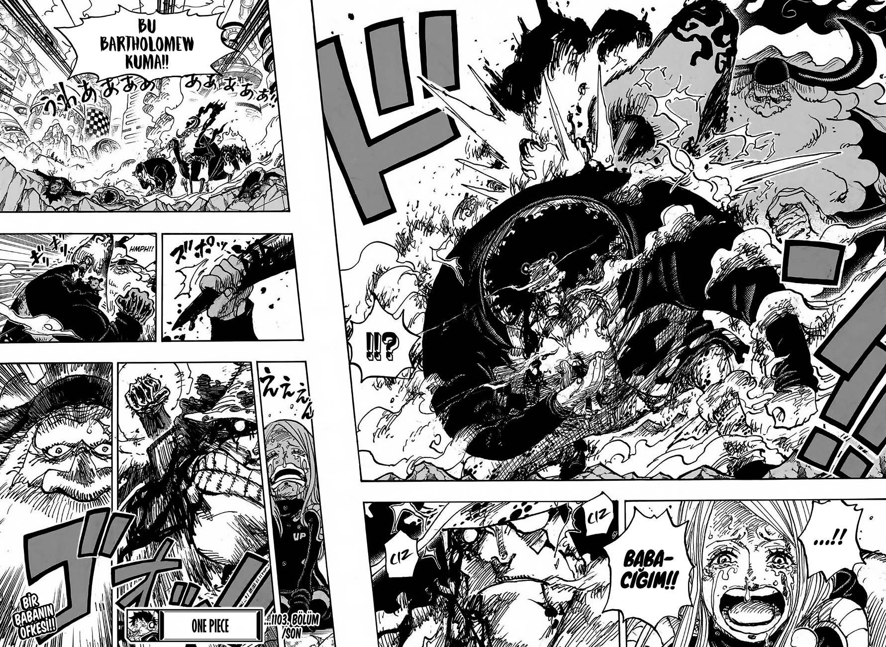 Read One Piece TR Manga Online