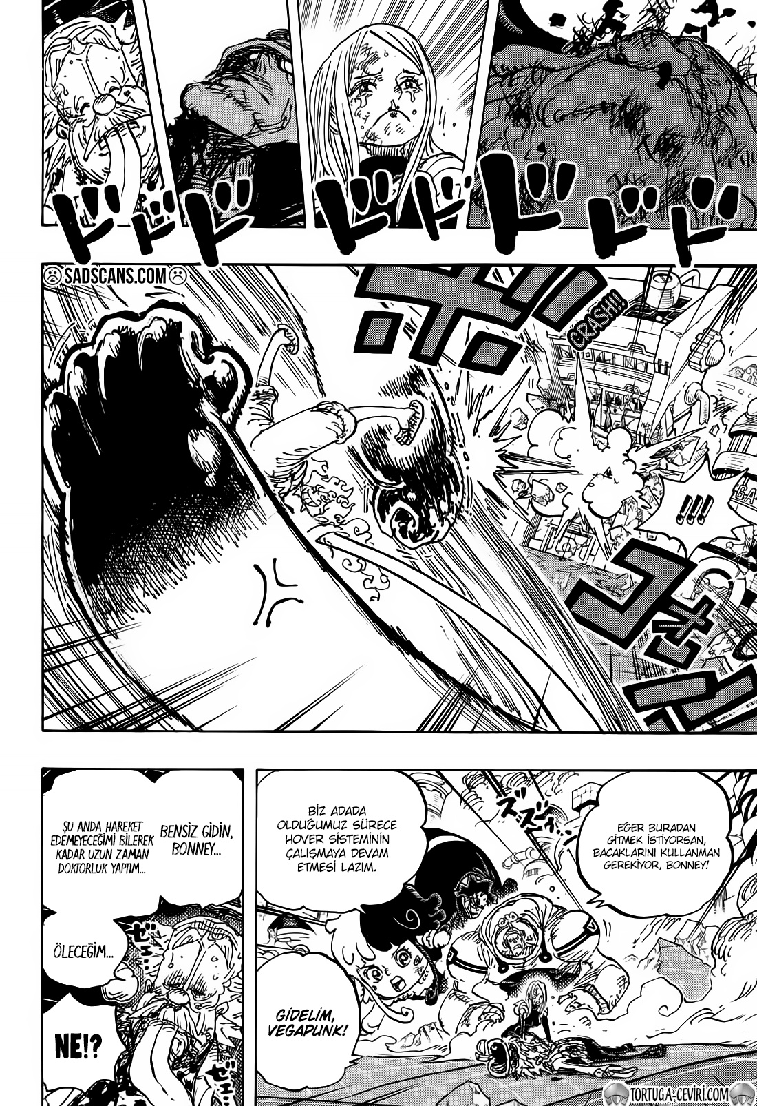 Read One Piece TR Manga Online