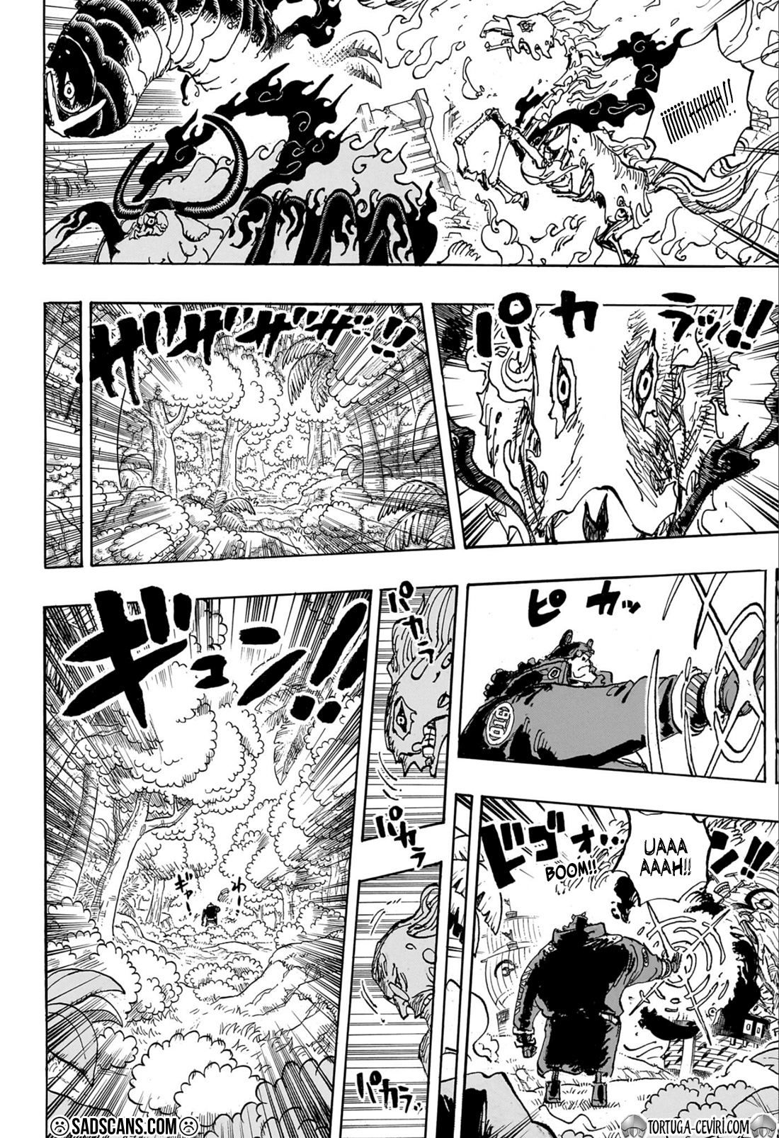 Read One Piece TR Manga Online