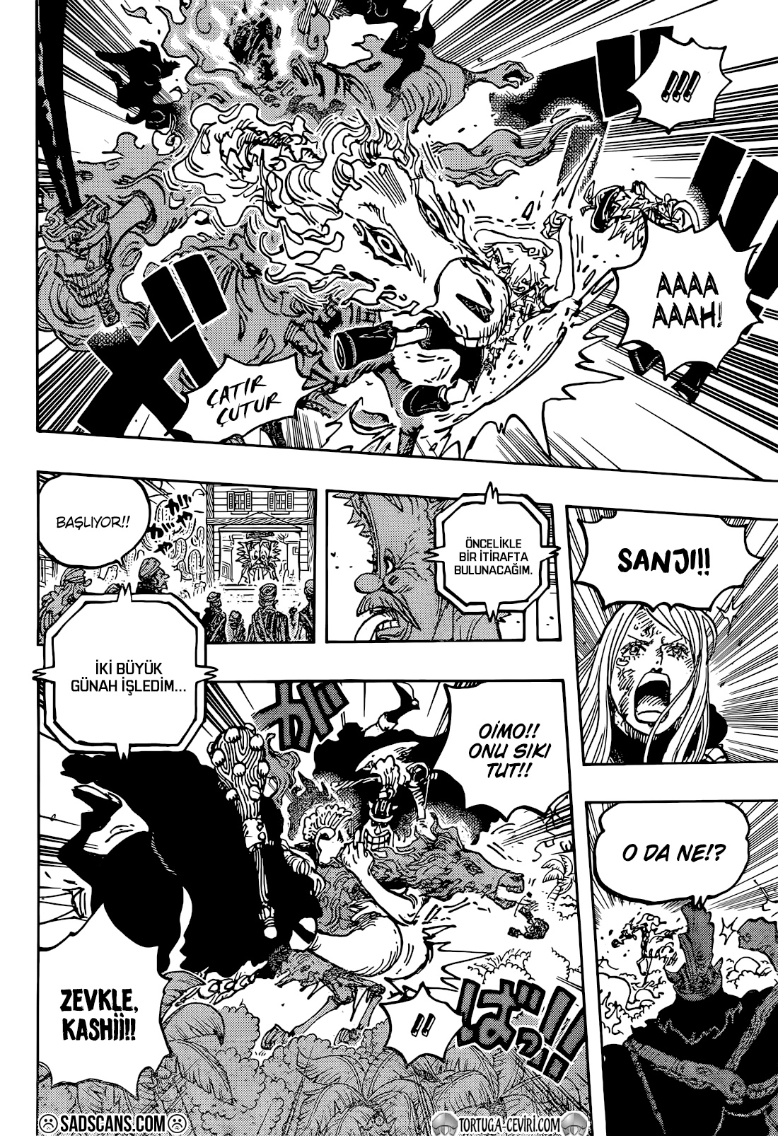 Read One Piece TR Manga Online