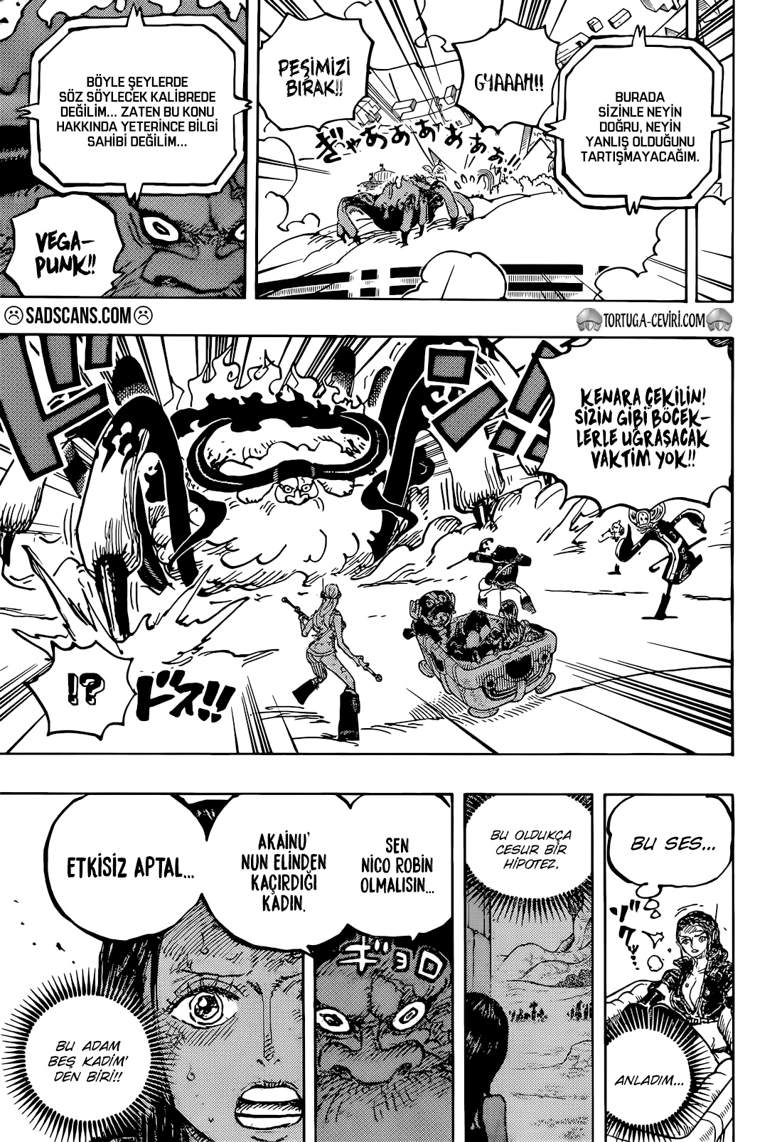 Read One Piece TR Manga Online