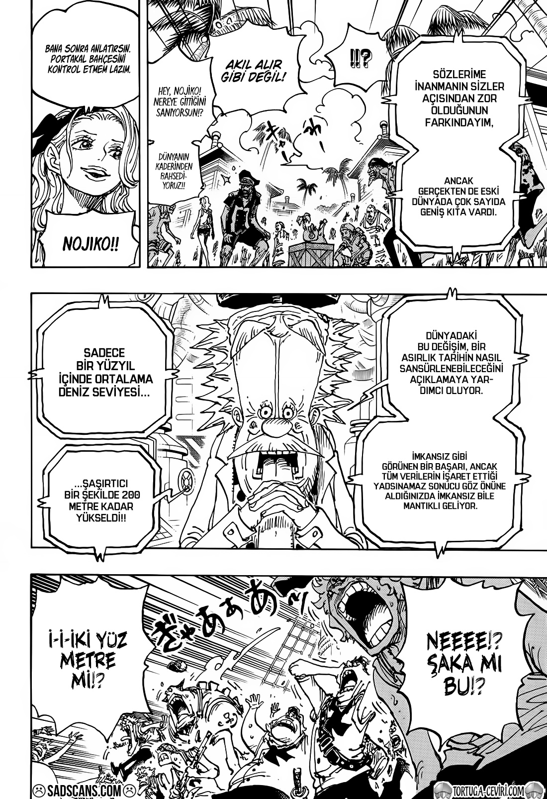 Read One Piece TR Manga Online