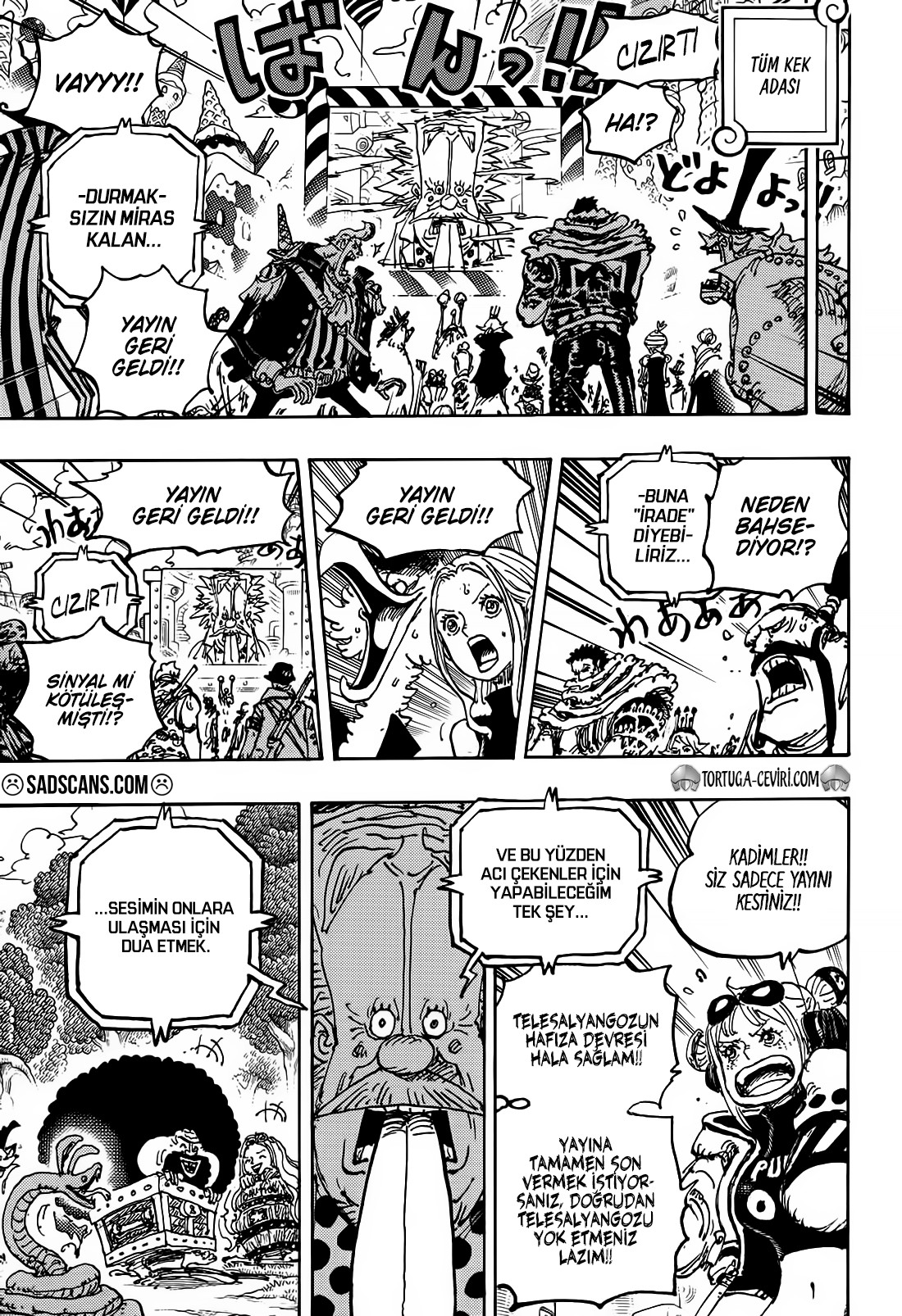 Read One Piece TR Manga Online
