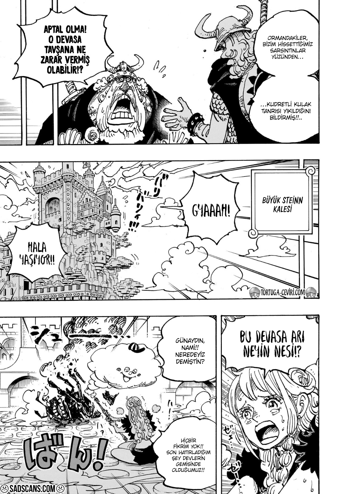 Read One Piece TR Manga Online