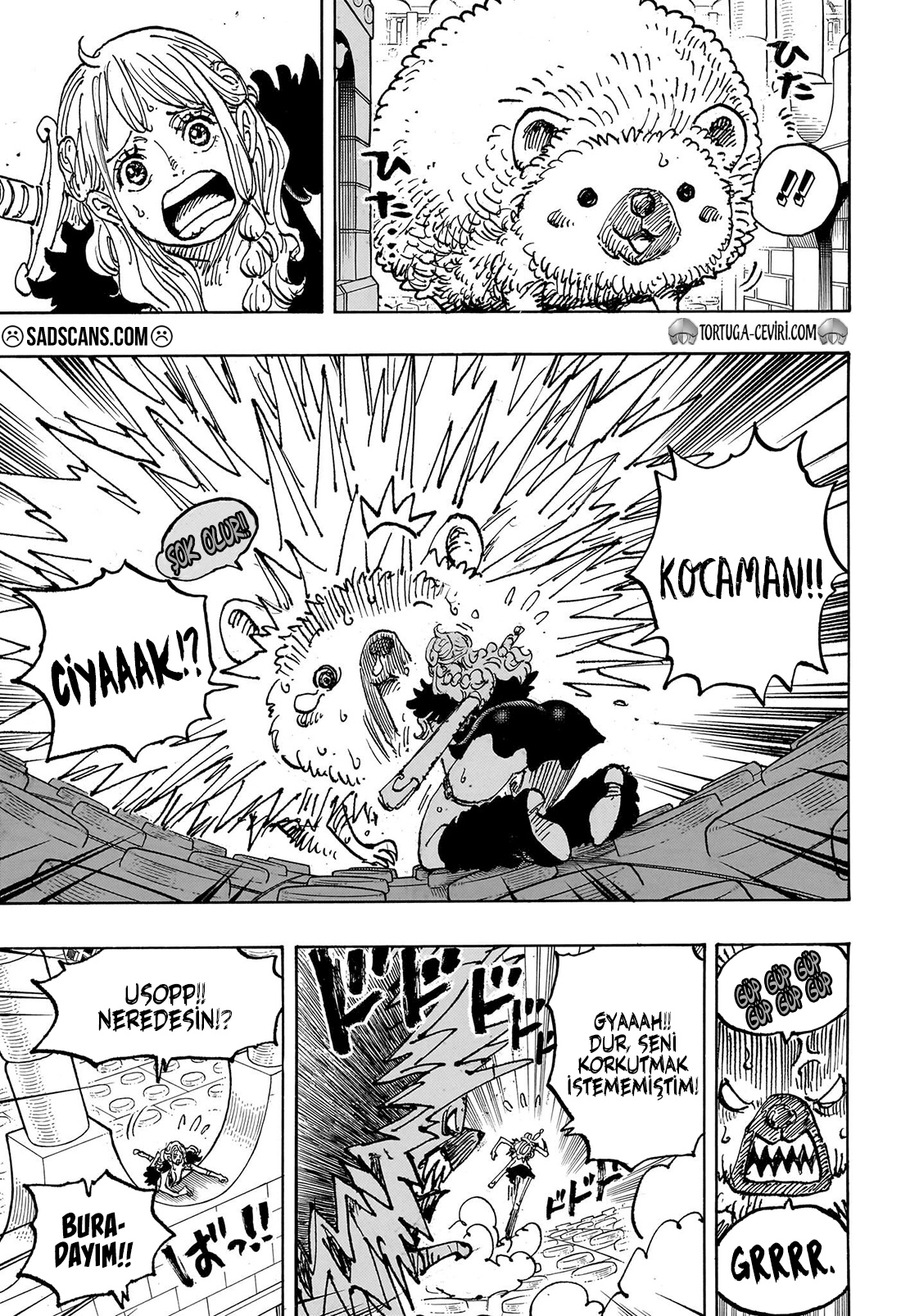 Read One Piece TR Manga Online