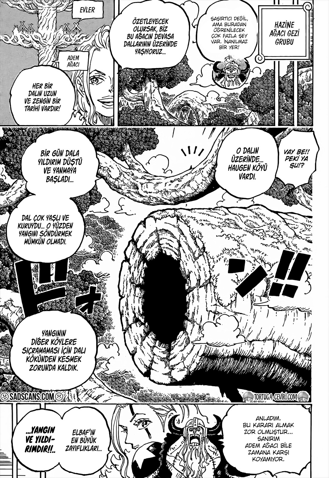 Read One Piece TR Manga Online