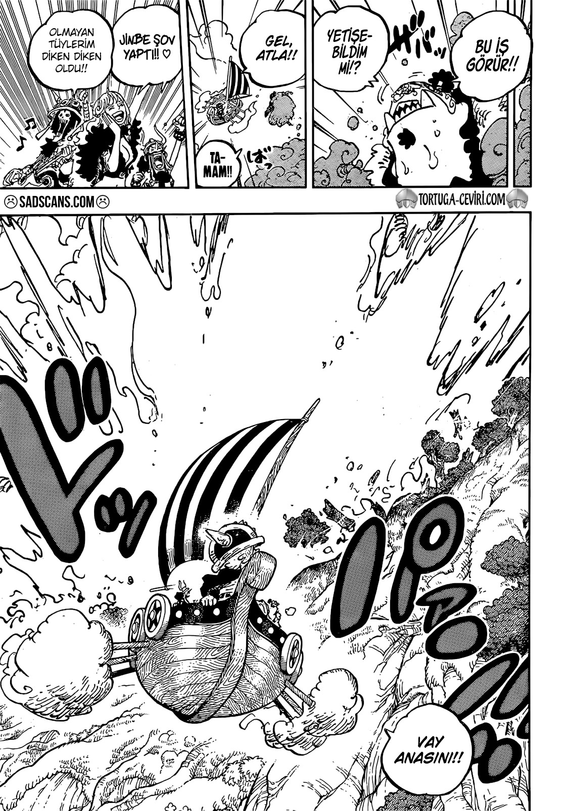 Read One Piece TR Manga Online