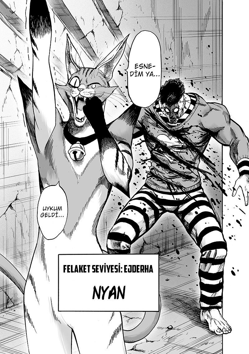 Read One Punch-Man TR Manga Online