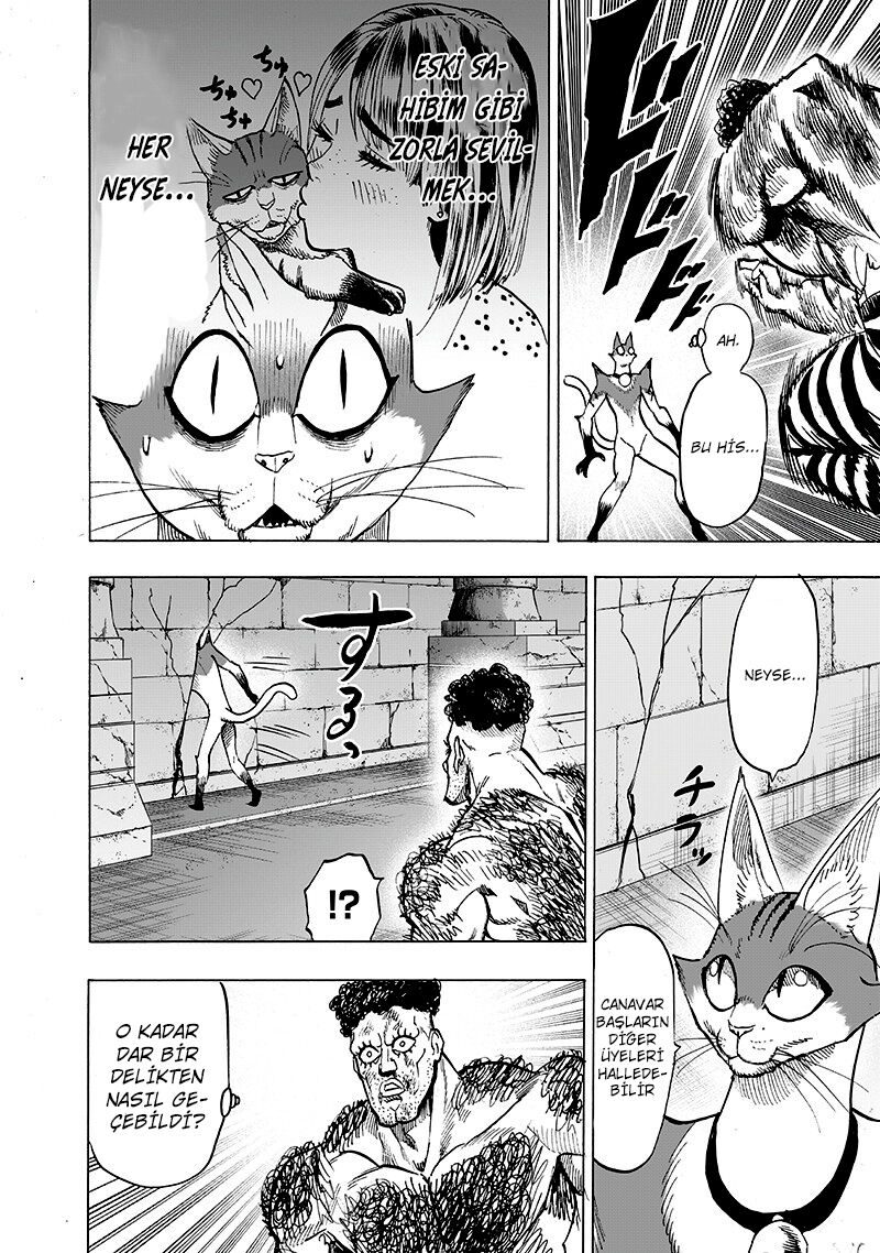 Read One Punch-Man TR Manga Online
