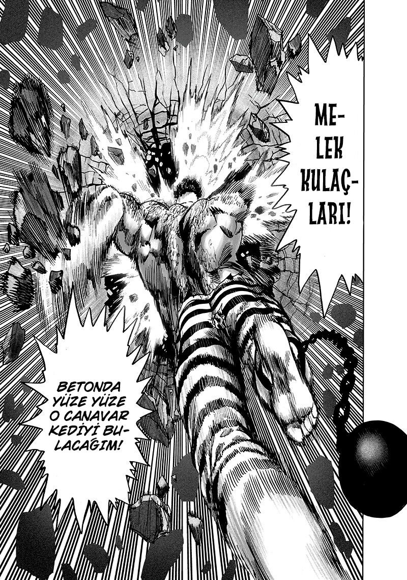 Read One Punch-Man TR Manga Online