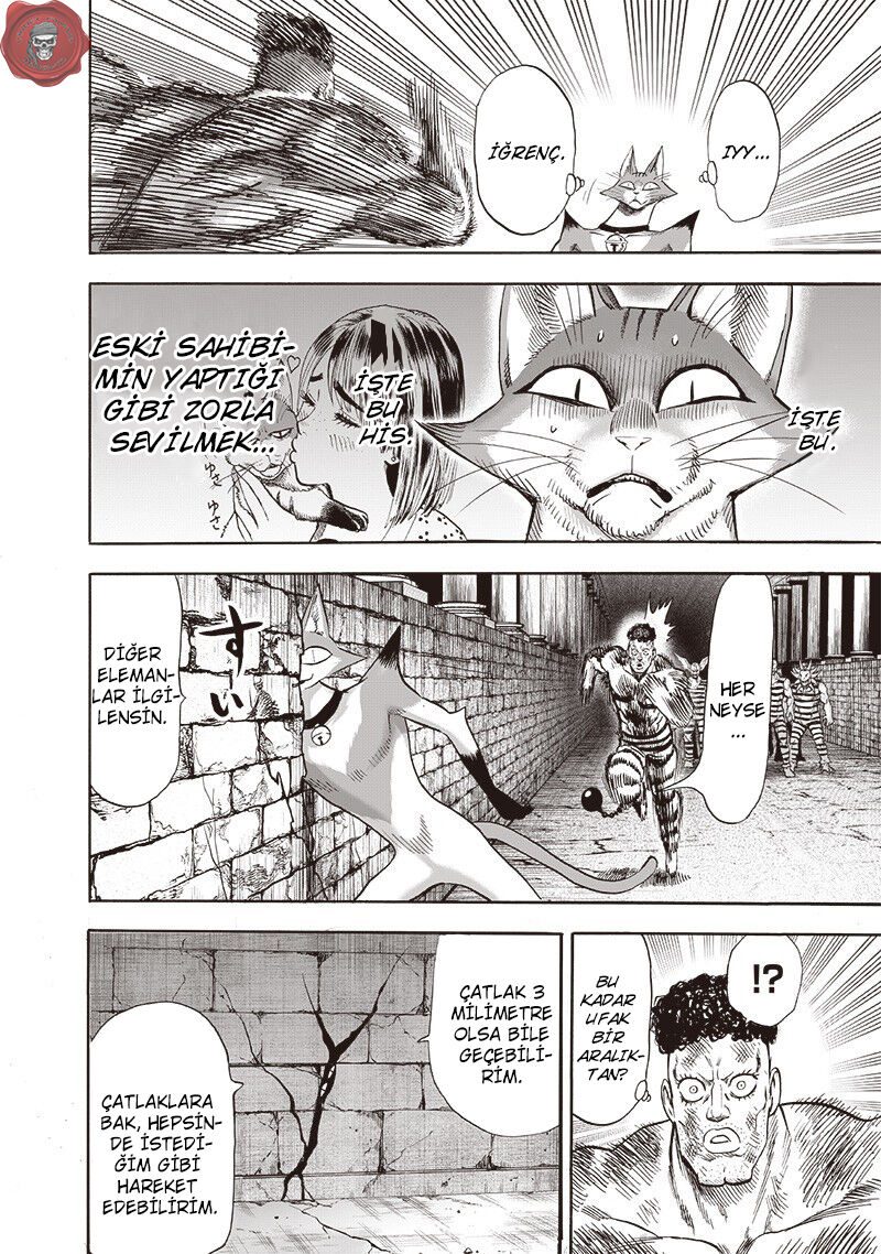 Read One Punch-Man TR Manga Online