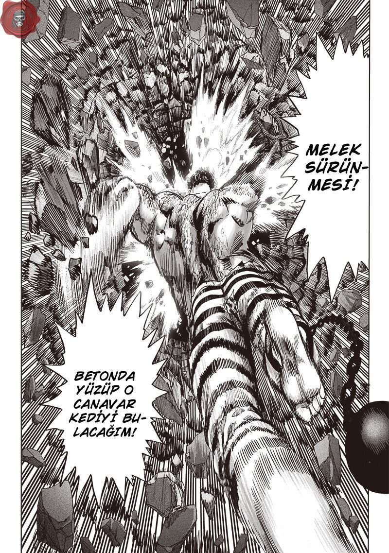 Read One Punch-Man TR Manga Online
