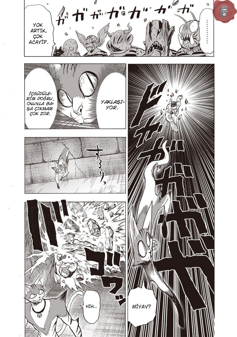 Read One Punch-Man TR Manga Online