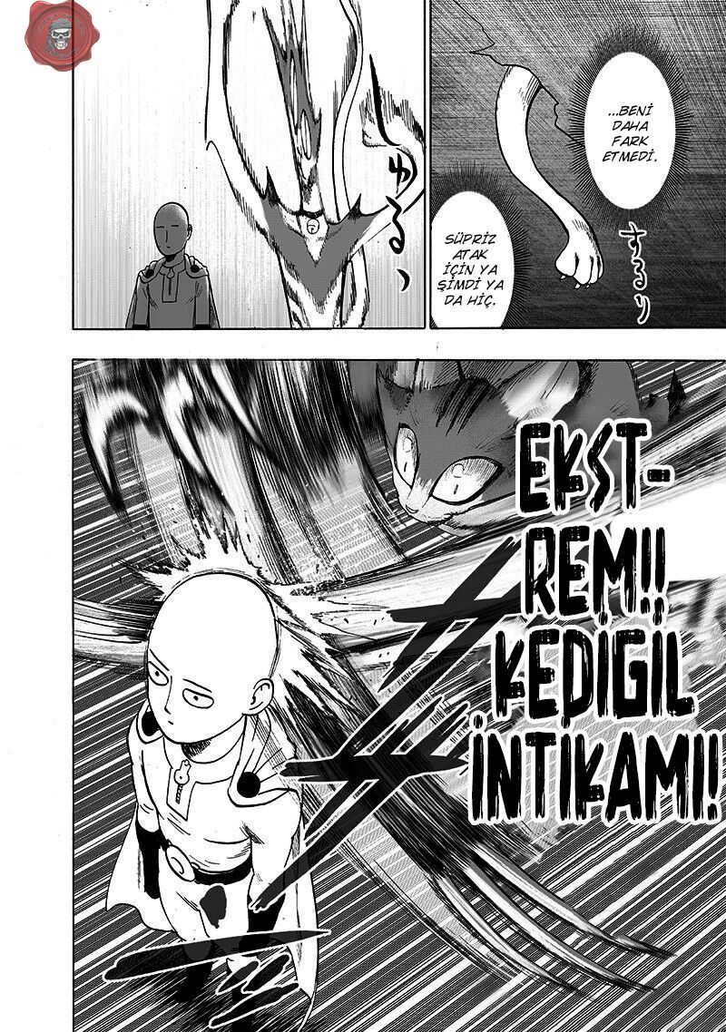 Read One Punch-Man TR Manga Online