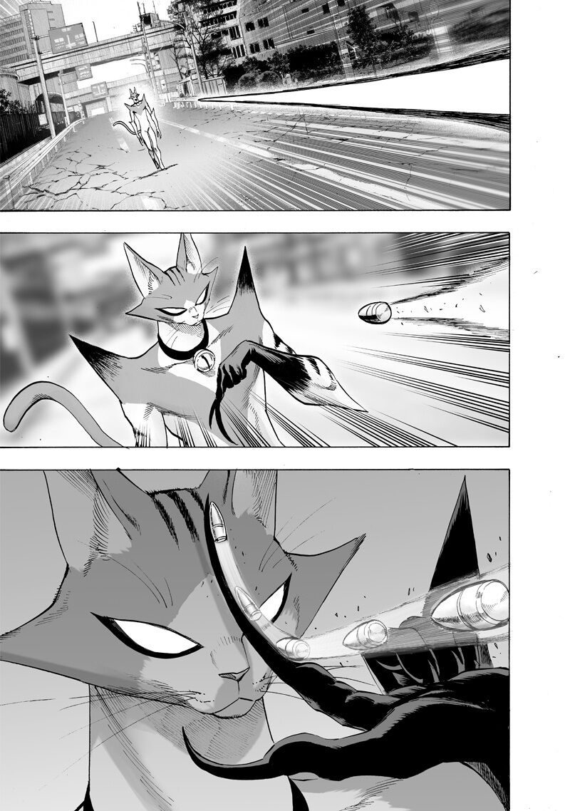 Read One Punch-Man TR Manga Online